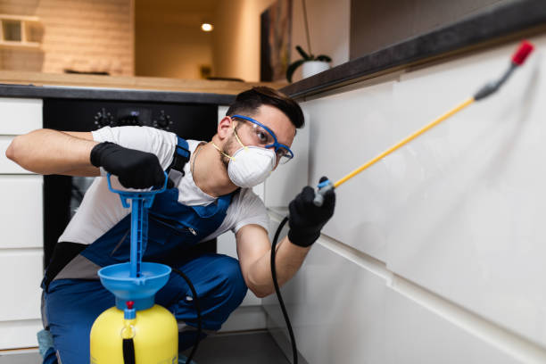 Best Rat Extermination Near Me  in Berkeley Lake, GA