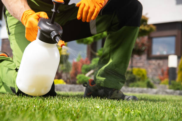 Best Affordable Pest Control Services  in Berkeley Lake, GA