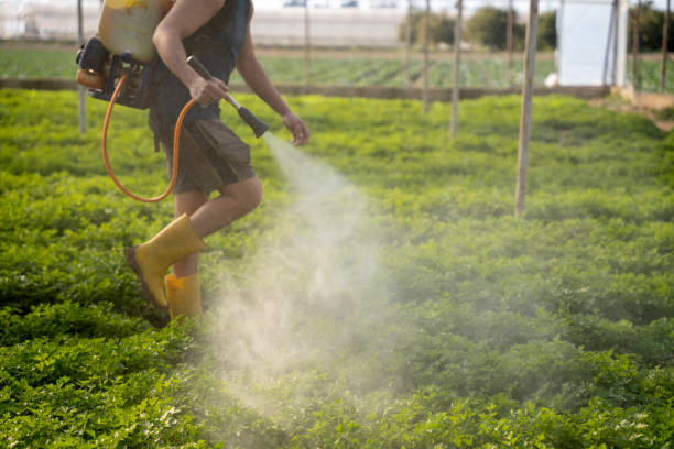 Best Pest Prevention Services  in Berkeley Lake, GA