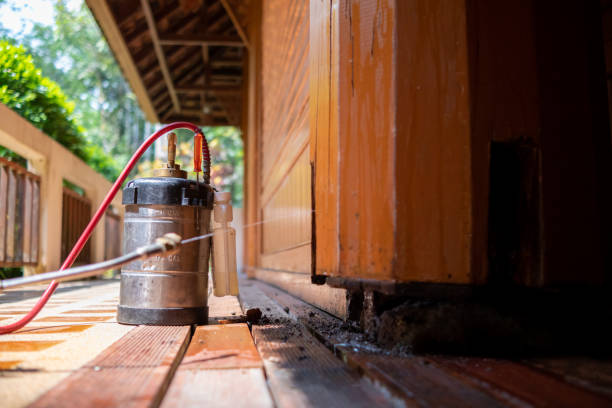 Best Local Pest Control Services  in Berkeley Lake, GA