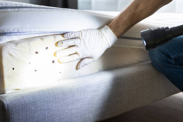 Best Commercial Pest Control Services  in Berkeley Lake, GA