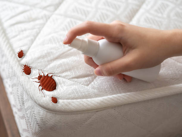 Professional Pest Control in Berkeley Lake, GA